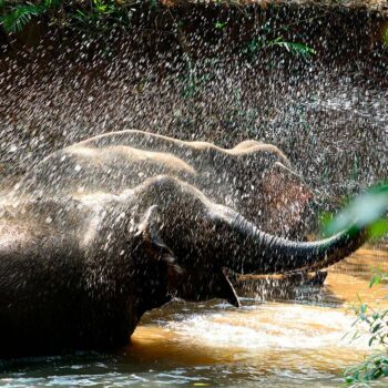 Mondulkiri