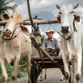 kampot attraction