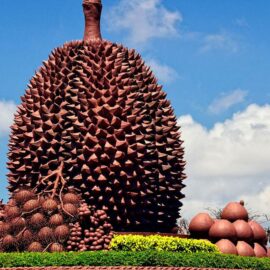 kampot attraction