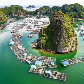 La Bahía de Halong