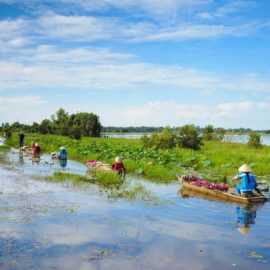 Mekong Delta