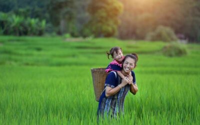 Lo mejor de Tailandia, Camboya, Laos y Vietnam - 16 días.