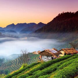 Doi Ang Khang, Chiang Mai