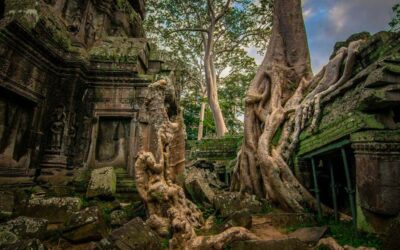 Best of Siem Reap