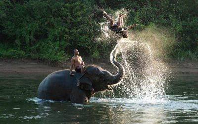Passeo con elefantes a Baan Chang día completo