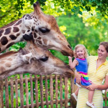 Singapore Zoo