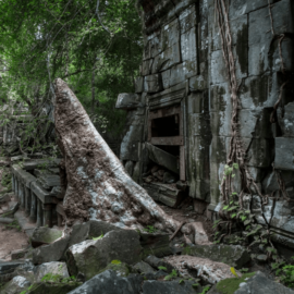 Jungle covered Beng Mealea