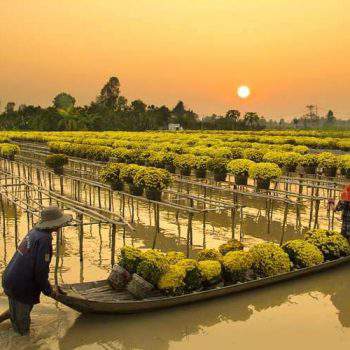 Delta do Mekong