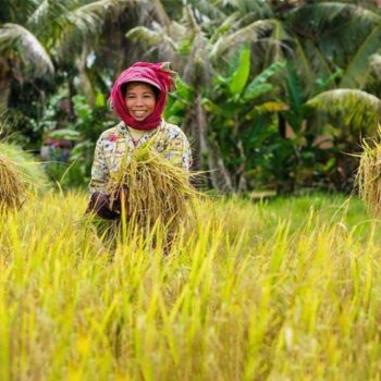 Vietnam y Camboya