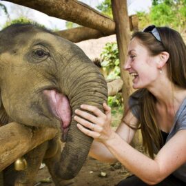 elephant camp