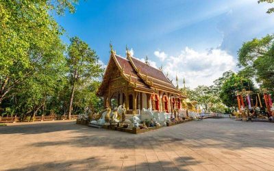 Excursión a Wat Phra That Doi Tung y el pueblo de etnias locales en español