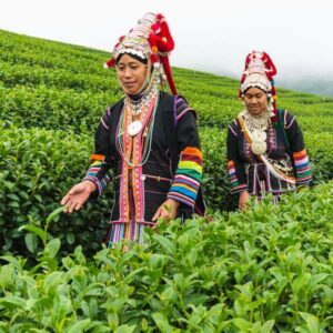 Dos mae salong tribu de la colina