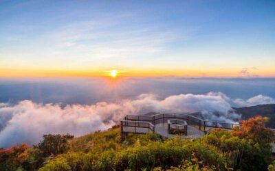 Excursión de día completo a Doi Inthanon en español