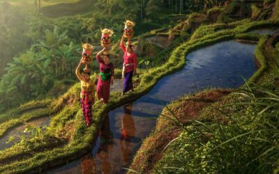 Bali: Esplora Ubud e il mare cristallino a Nusa Dua per 10 giorni.