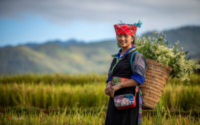 Viaje a Hanoi - Sapa - Ninh Binh - Bahía de Halong en grupo con guía español.