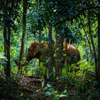 Mondulkiri