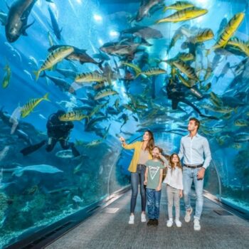 Acuario y Zoo Submarino de Dubai