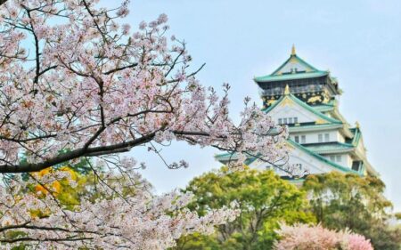 Roteiro Japão: Cerejeiras em Flor com Guia em espanhol.