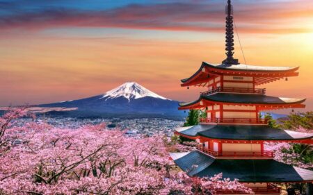 Cerejeiras em Flor no Japão e Tailândia em Grupo.