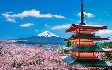 Japão Colorido: Temporada das Cerejeiras em Flor.
