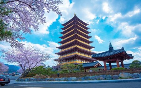 Viagem à Coreia do Sul e Tailândia na temporada das cerejeiras.